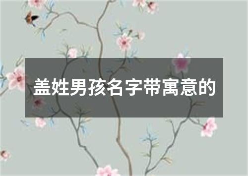 盖姓男孩名字带寓意的