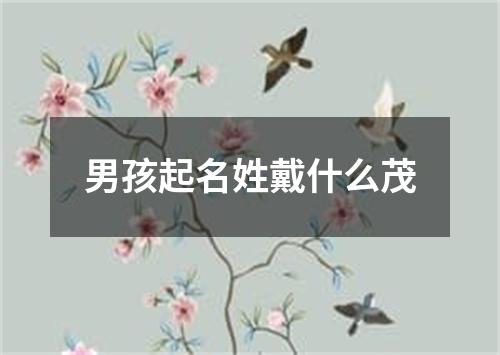 男孩起名姓戴什么茂