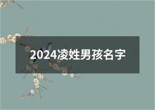 2024凌姓男孩名字