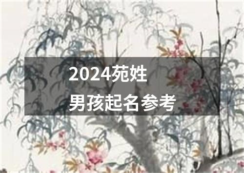 2024苑姓男孩起名参考