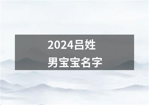 2024吕姓男宝宝名字