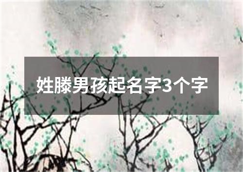 姓滕男孩起名字3个字