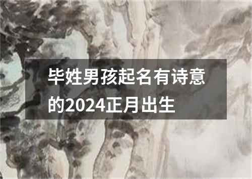 毕姓男孩起名有诗意的2024正月出生