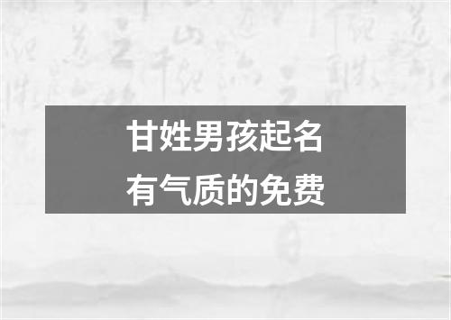 甘姓男孩起名有气质的免费