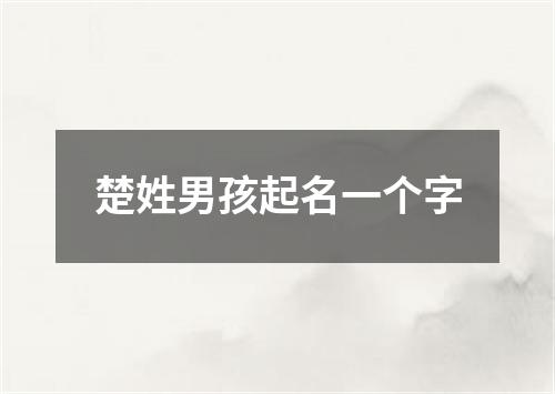 楚姓男孩起名一个字