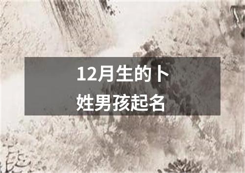 12月生的卜姓男孩起名