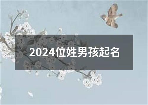 2024位姓男孩起名