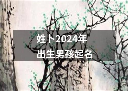 姓卜2024年出生男孩起名