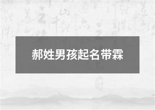 郝姓男孩起名带霖