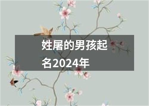 姓屠的男孩起名2024年