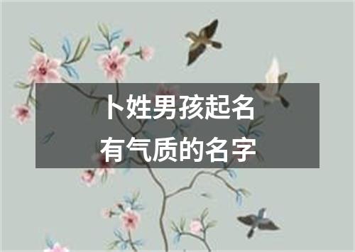 卜姓男孩起名有气质的名字