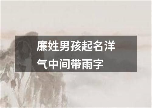 廉姓男孩起名洋气中间带雨字