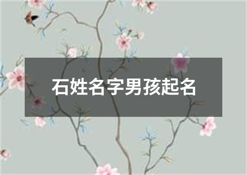 石姓名字男孩起名