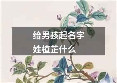 给男孩起名字姓植芷什么