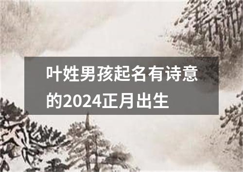 叶姓男孩起名有诗意的2024正月出生