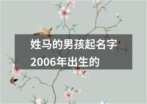 姓马的男孩起名字2006年出生的