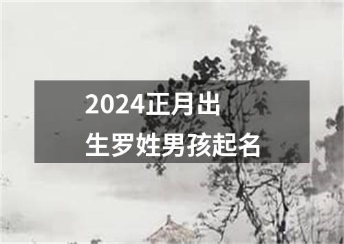 2024正月出生罗姓男孩起名