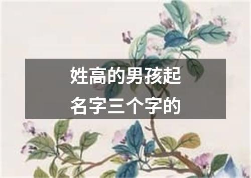 姓高的男孩起名字三个字的