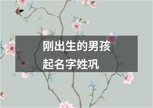 刚出生的男孩起名字姓巩