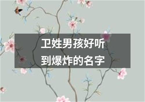 卫姓男孩好听到爆炸的名字