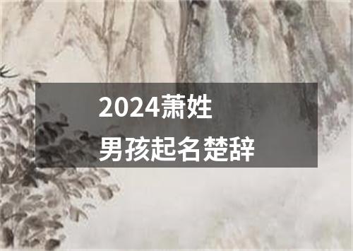 2024萧姓男孩起名楚辞