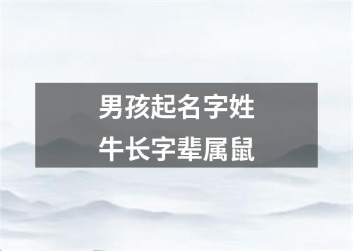 男孩起名字姓牛长字辈属鼠