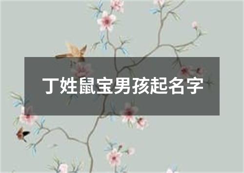 丁姓鼠宝男孩起名字