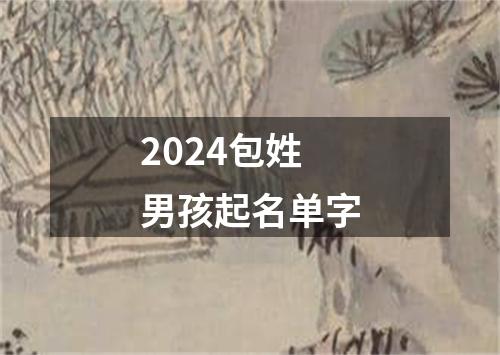 2024包姓男孩起名单字