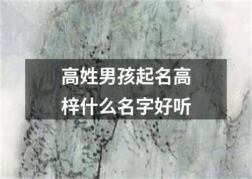 高姓男孩起名高梓什么名字好听