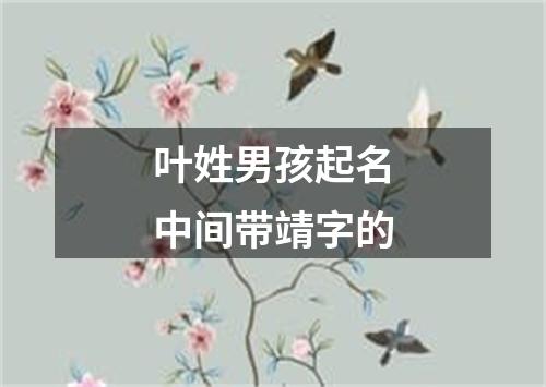 叶姓男孩起名中间带靖字的