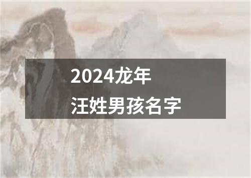 2024龙年汪姓男孩名字