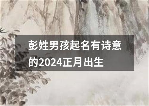 彭姓男孩起名有诗意的2024正月出生