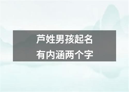 芦姓男孩起名有内涵两个字