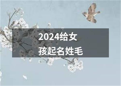 2024给女孩起名姓毛