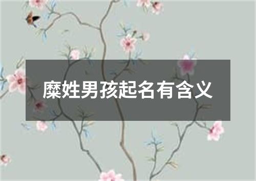 糜姓男孩起名有含义