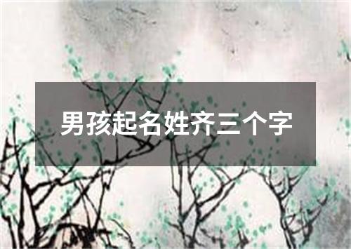 男孩起名姓齐三个字