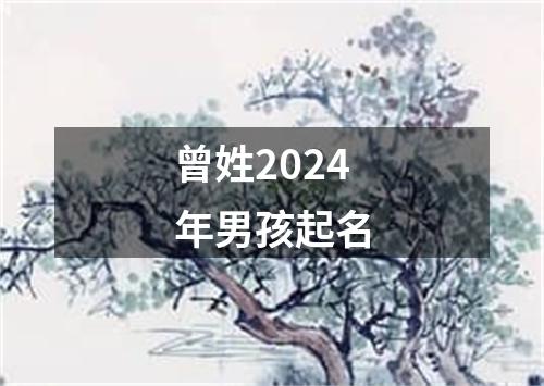 曾姓2024年男孩起名