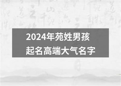 2024年苑姓男孩起名高端大气名字