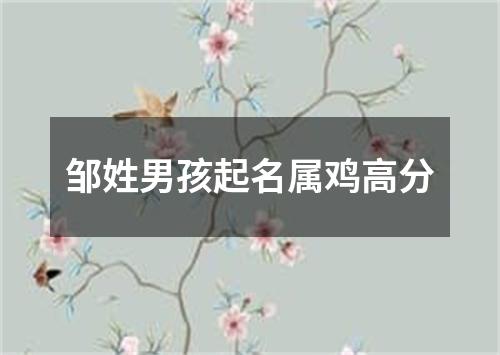 邹姓男孩起名属鸡高分