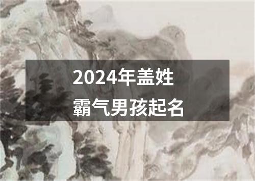 2024年盖姓霸气男孩起名