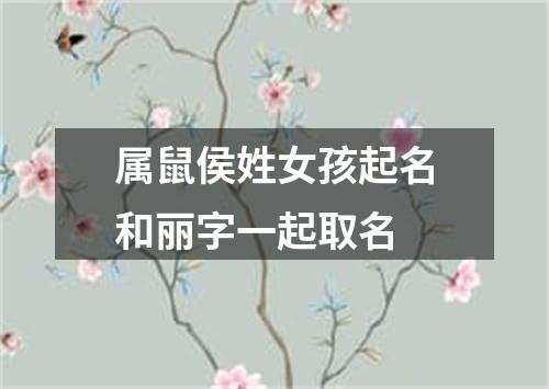 属鼠侯姓女孩起名和丽字一起取名