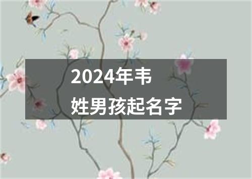 2024年韦姓男孩起名字