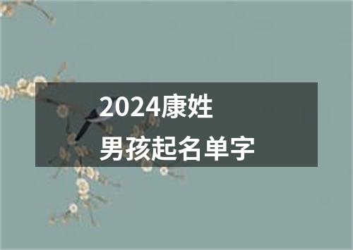 2024康姓男孩起名单字