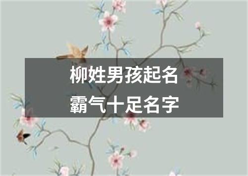 柳姓男孩起名霸气十足名字