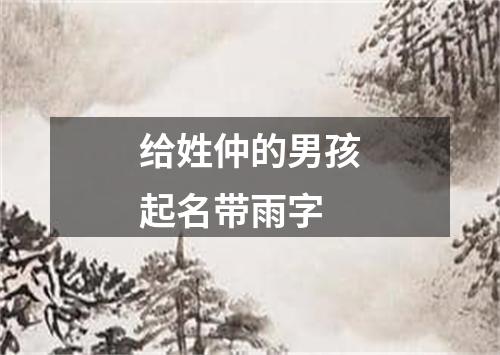 给姓仲的男孩起名带雨字