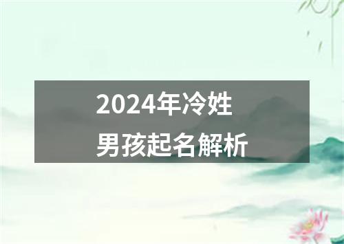 2024年冷姓男孩起名解析