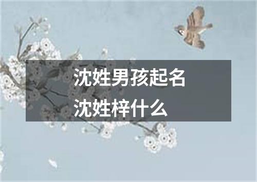 沈姓男孩起名沈姓梓什么