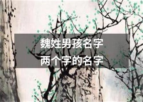 魏姓男孩名字两个字的名字