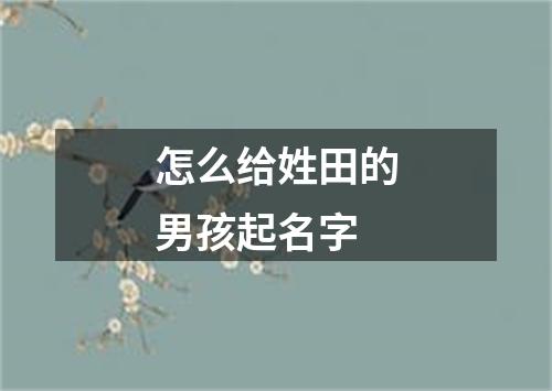 怎么给姓田的男孩起名字