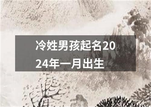 冷姓男孩起名2024年一月出生